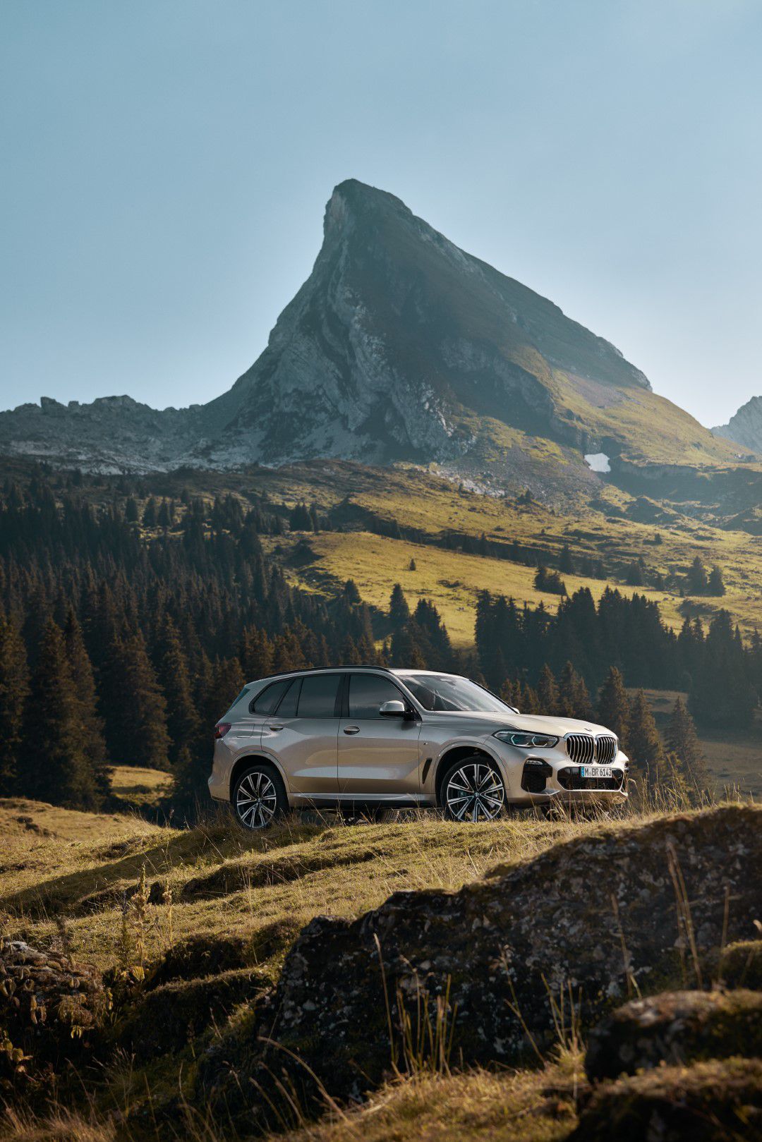 BMW X5 (8).jpg