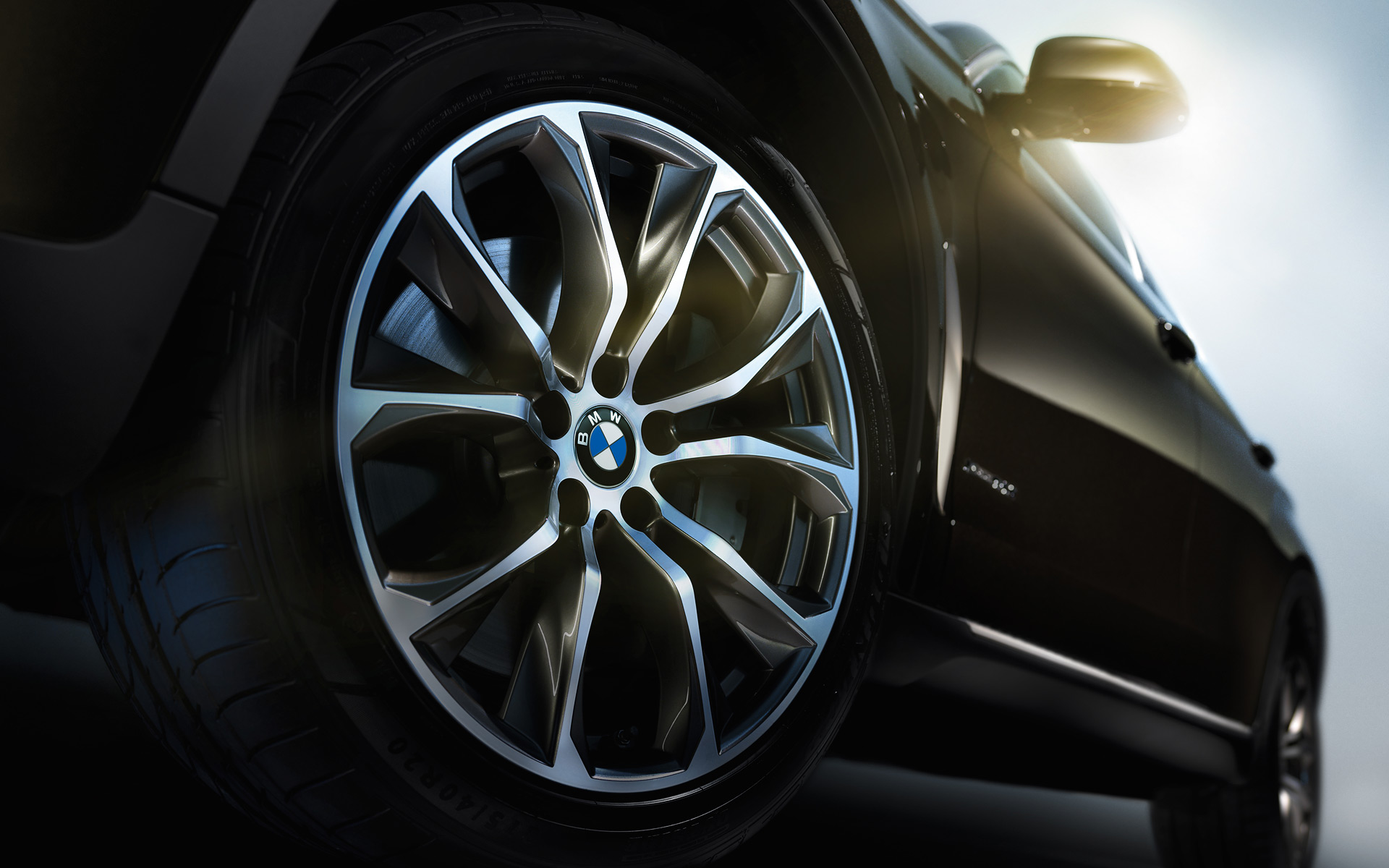 BMW-X6-cartec-group-7.jpg