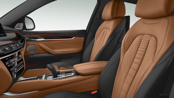 BMW-X6-cartec-group-interier-3.jpg
