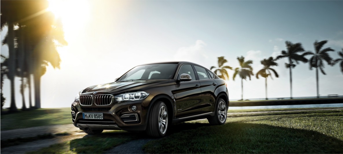 BMW-X6-cartec-group-l.jpg
