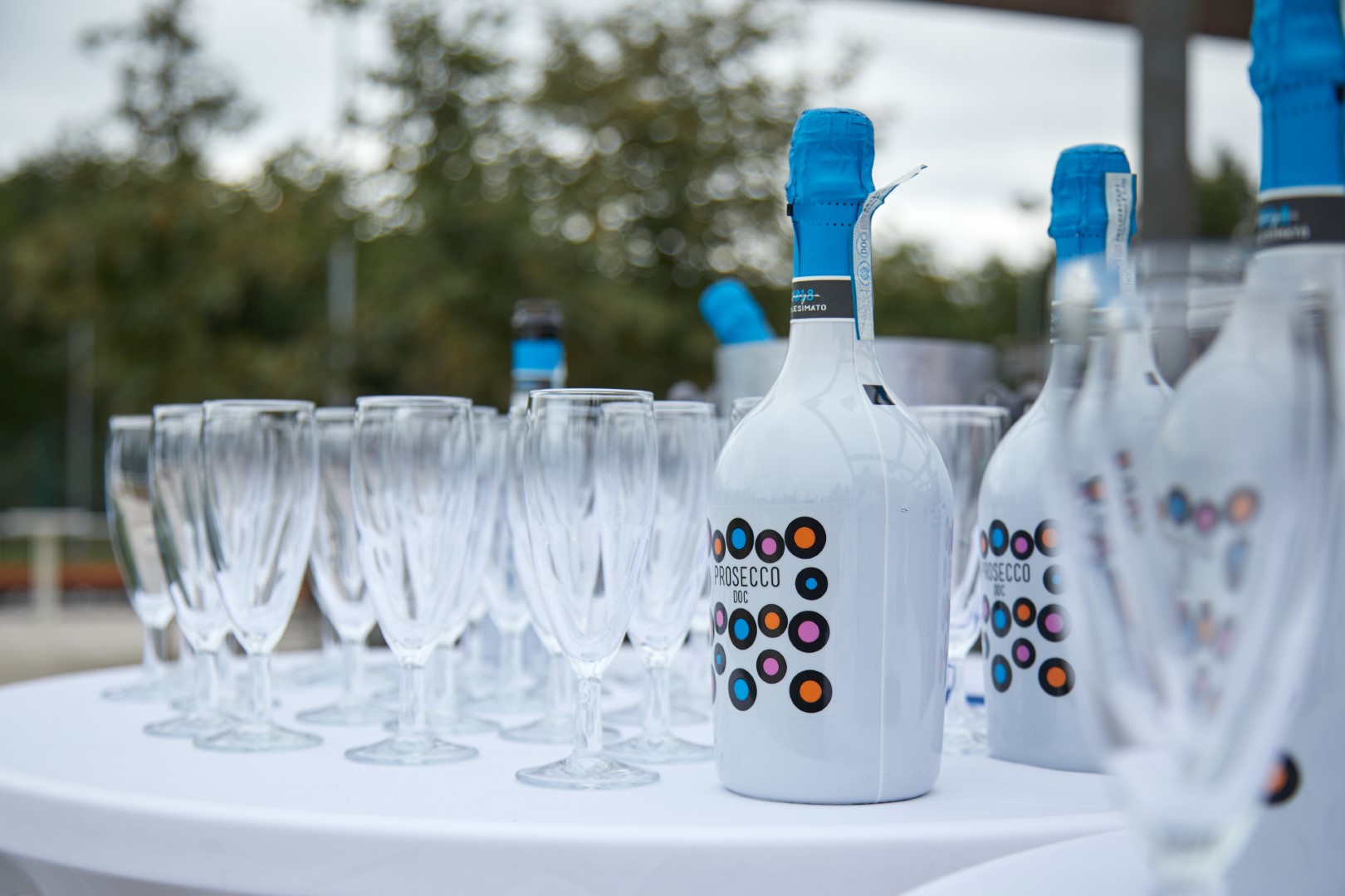 IMG_2386 (Velké).jpg