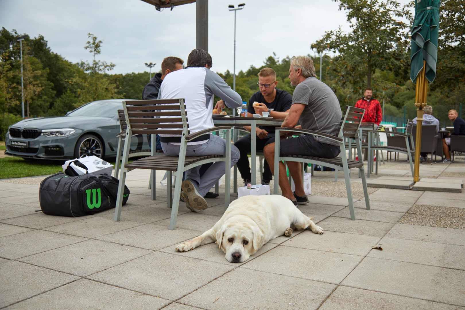 IMG_2475 (Velké).jpg