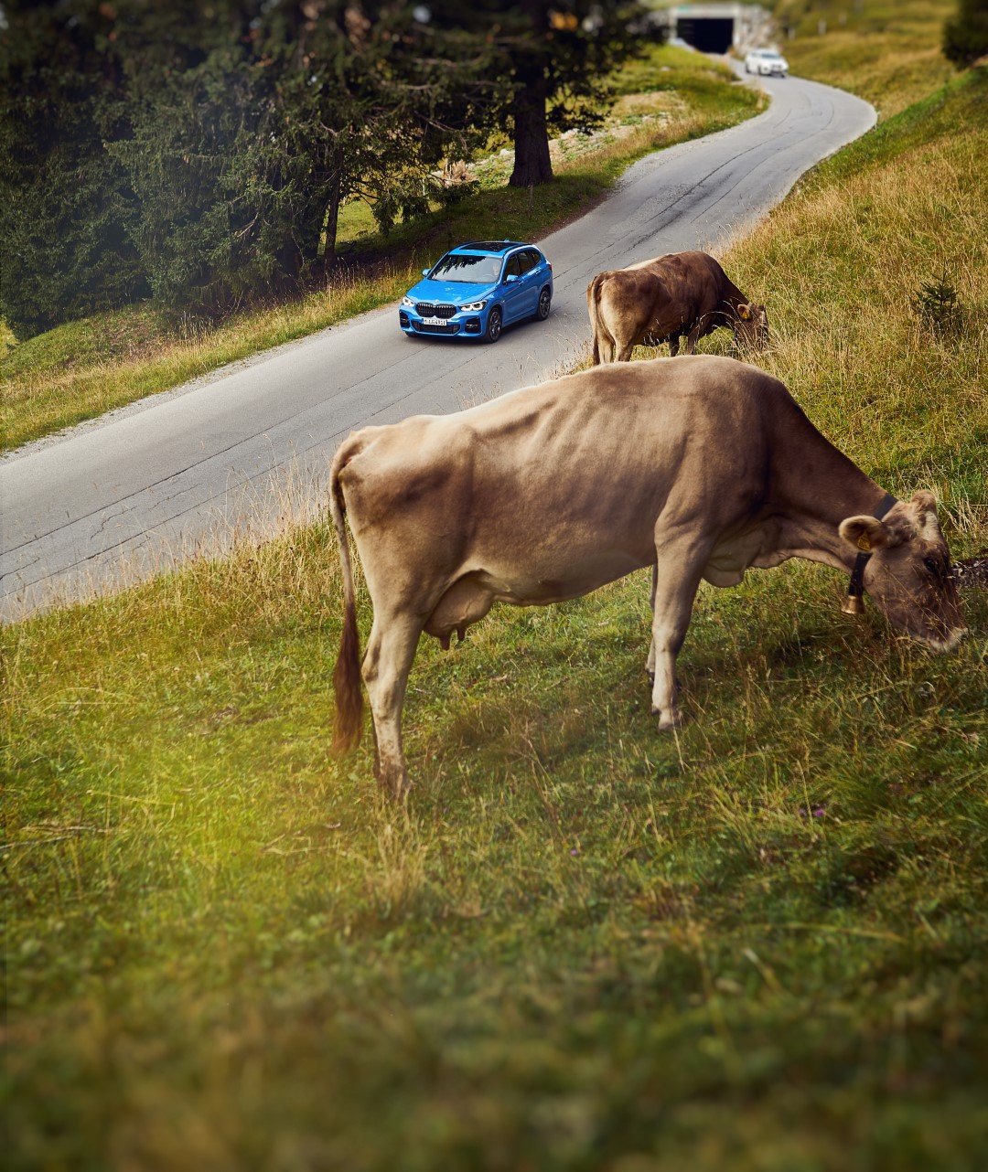 bmw-x1-edrive25e-cartec-group