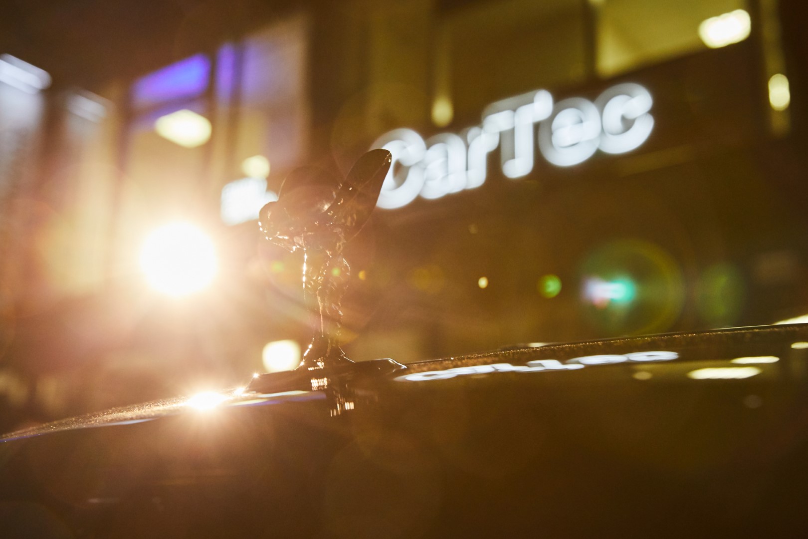 IMG_8588 (Velké).jpg